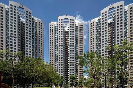 Senja Road — by The Design Artistry